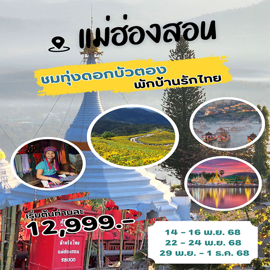ทัวร์แม่ฮ่องสอน ชมทุ่งดอกบัวตอง พักบ้านไทย 3วัน 2คืน (FD,SL,DD)